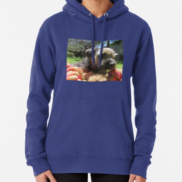 Baby Beau Sweatshirts Hoodies Redbubble