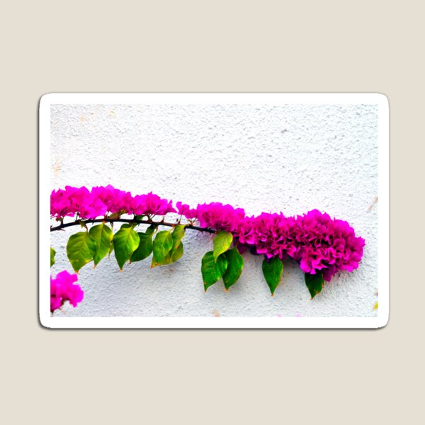 Aperçu de l'œuvre Fleur de bougainvillier créée et vendue par Purva Thakur.