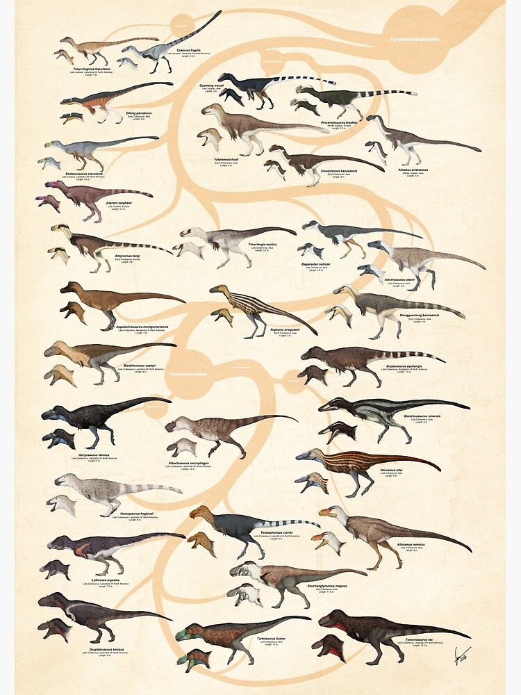Tyrannosauroid Dinosaurs by SerpenIllus