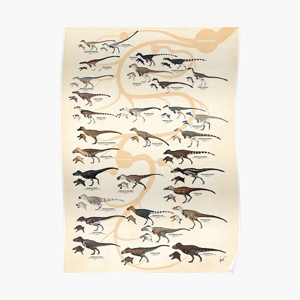Tyrannosauroid Dinosaurs Poster