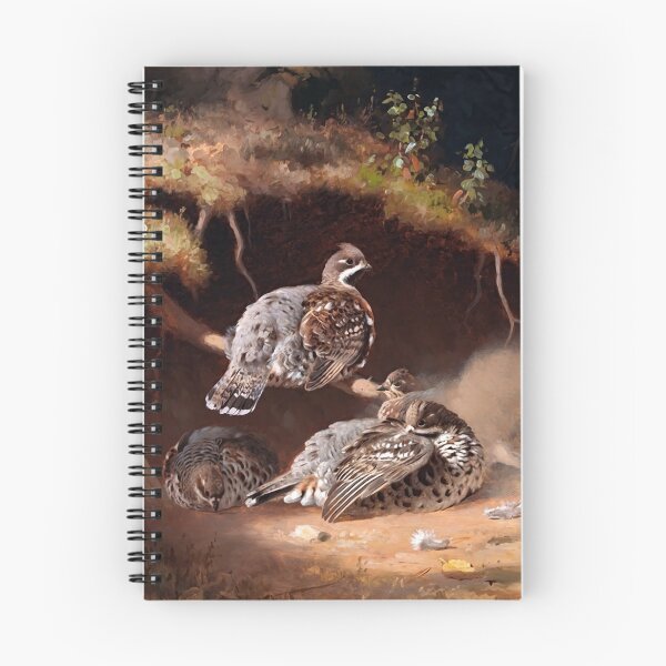 Item preview, Tetrastes bonasia by Ferdinand von Wright designed and sold by academic-art.