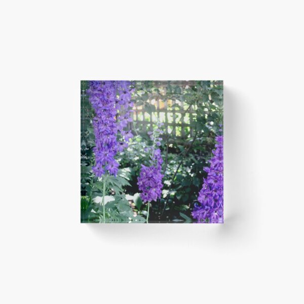 Item preview, Purple Delphiniums designed and sold by Shulie1.
