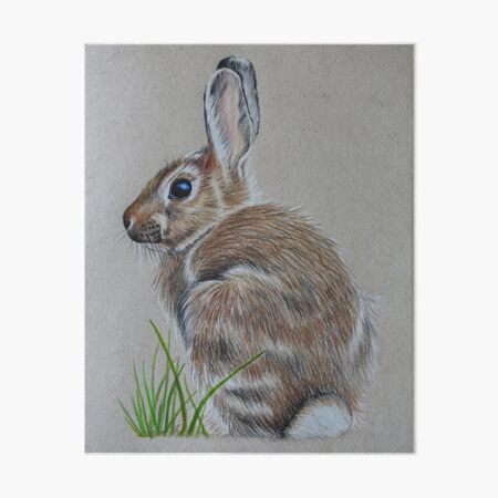 Brown Rabbit Art Board Print