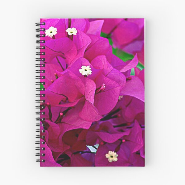 Item preview, Bougainvillea Flower  designed and sold by Purva Thakur.