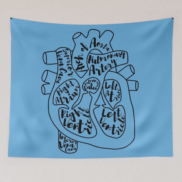 Item preview, Labeled Anatomical Heart designed and sold by STEM-women.