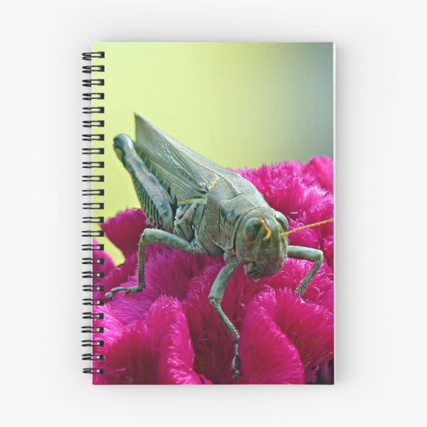 Item preview, Grasshopper on Cockscomb designed and sold by Frankie Cat Photography.