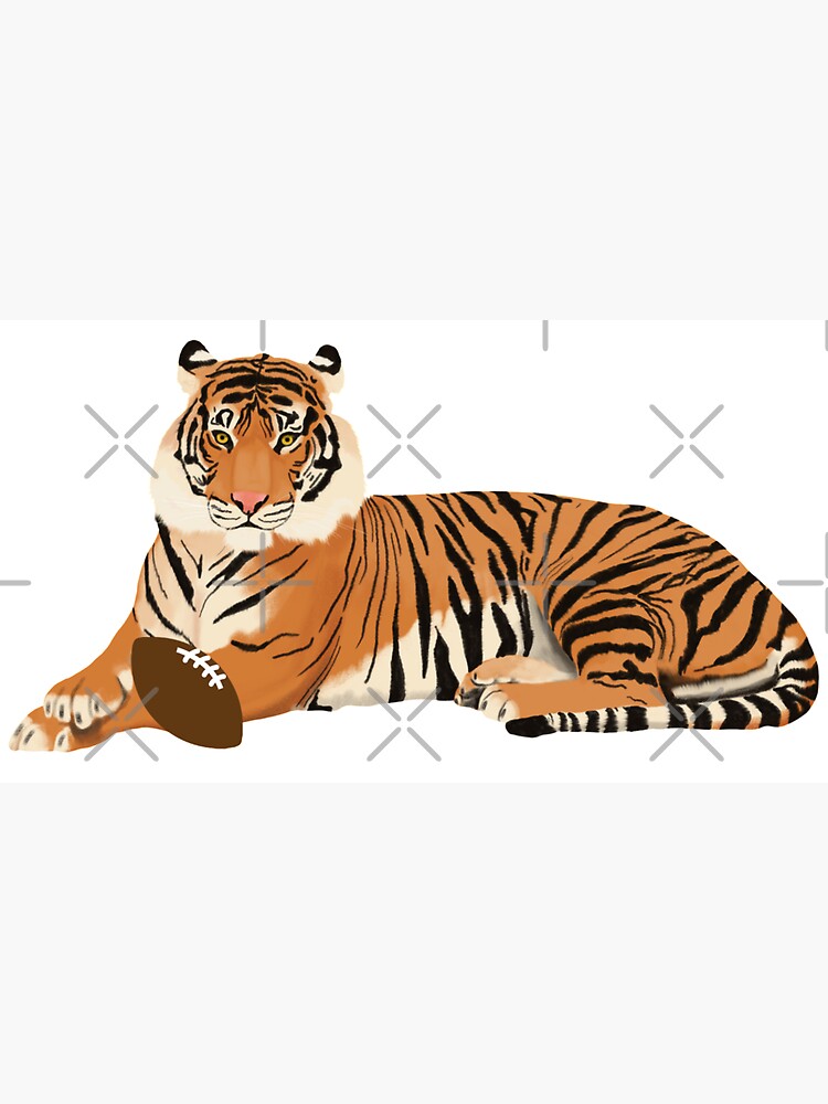 13+ Tiger Drawing Cartoon