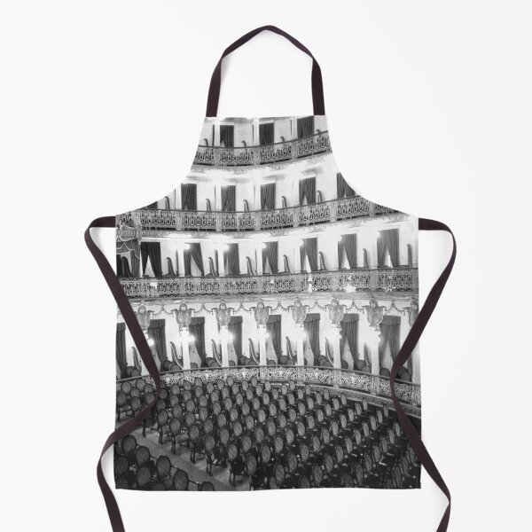 Item preview, Vintage Photo of Manaus Opera House designed and sold by JerryFrank.