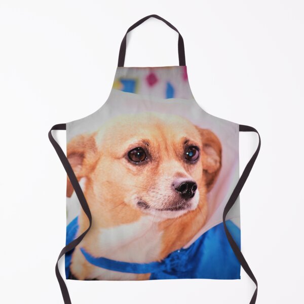 Item preview, Doggy school grad designed and sold by B. Randi Bailey.