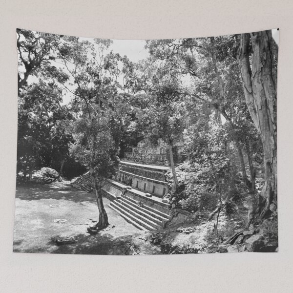 Item preview, Vintage Photo of Copan Mayan Ruins of Honduras  designed and sold by JerryFrank.