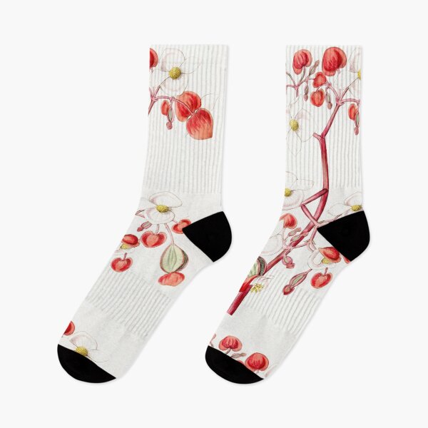 Item preview, Begonia Beauty designed and sold by anni103.