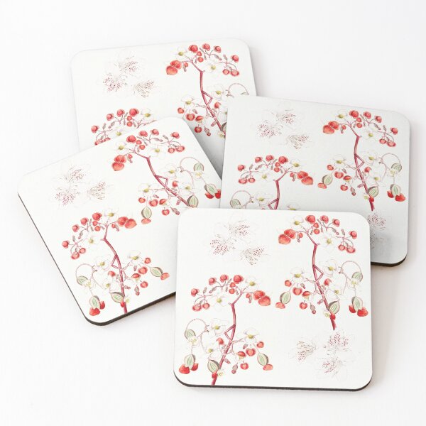 Item preview, Begonia Beauty designed and sold by anni103.