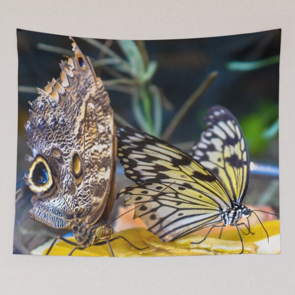 Item preview, Even Butterflies Have to Eat designed and sold by GrannysGarage.