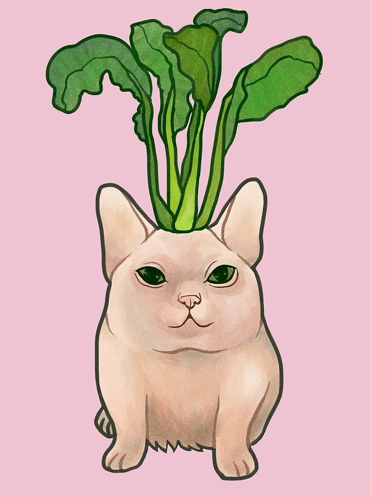 Rettich Katze | Poster