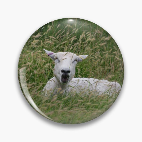 Item preview, Looking Sheepish designed and sold by GingerMan2550.