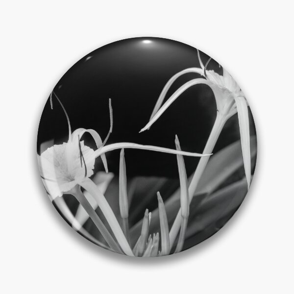 Item preview, Spider Lily, and Day Lilies designed and sold by RichFrancoCars.