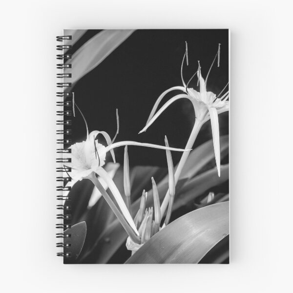 Item preview, Spider Lily, and Day Lilies designed and sold by RichFrancoCars.