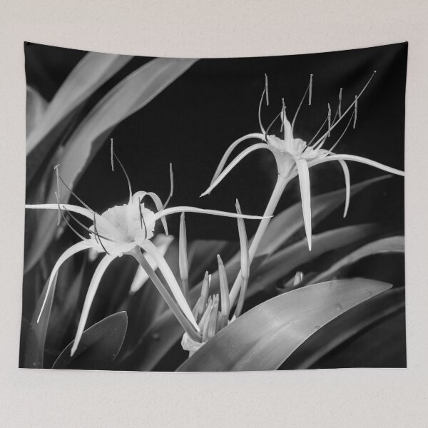 Item preview, Spider Lily, and Day Lilies designed and sold by RichFrancoCars.