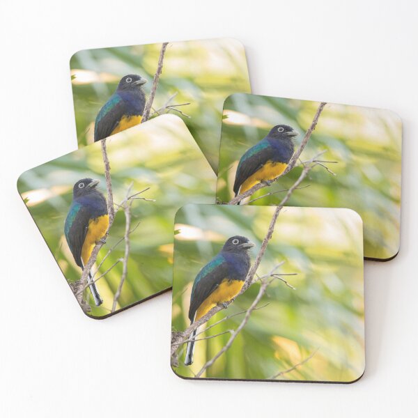 Item preview, Green-backed Trogon designed and sold by Faraaz Abdool.