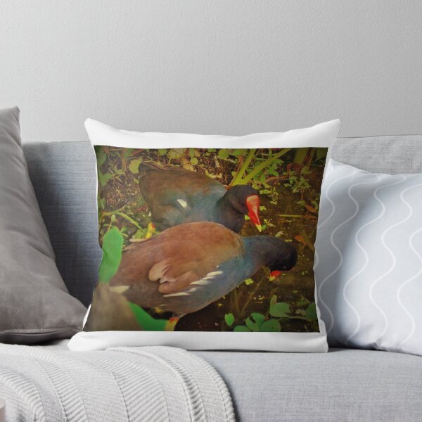 Item preview, Romance in the glades designed and sold by alan barbour.