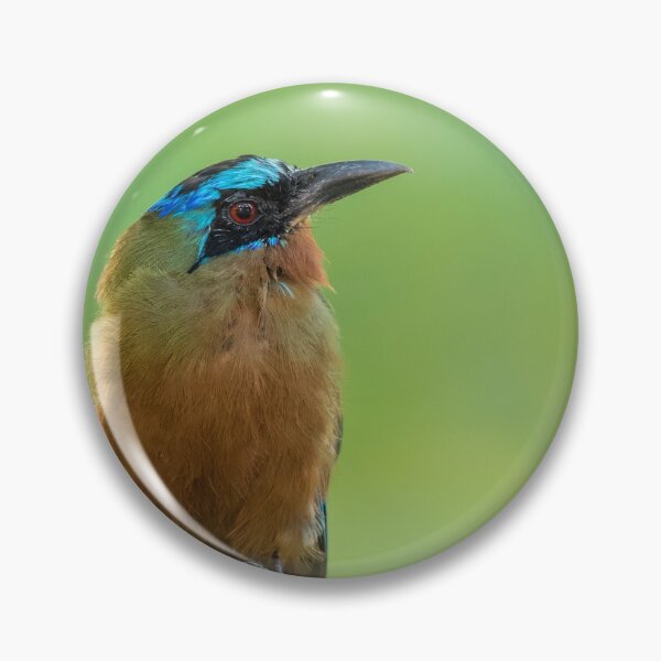 Item preview, Endemic designed and sold by Faraaz Abdool.