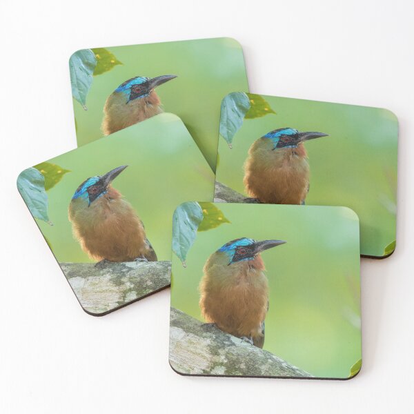 Item preview, Endemic designed and sold by Faraaz Abdool.