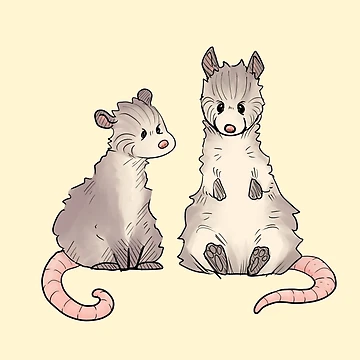 Artwork thumbnail, Possums by rainetherabbit