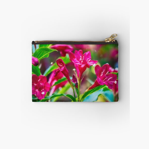 Item preview, Weigela 4 designed and sold by Robert Alsop.