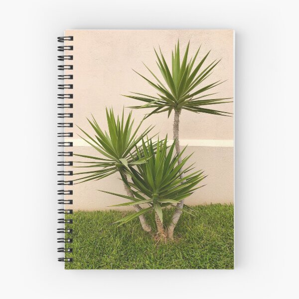 Item preview, Triple Yucca Tree designed and sold by SunnyDesignsCo.