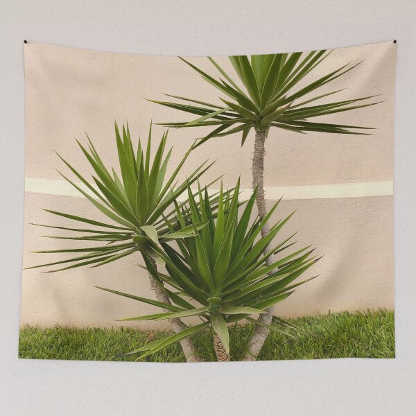 Item preview, Triple Yucca Tree designed and sold by SunnyDesignsCo.
