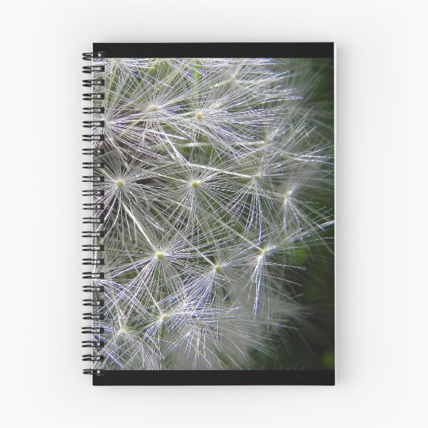 Item preview, Dandelion clock designed and sold by irenicrhonda.