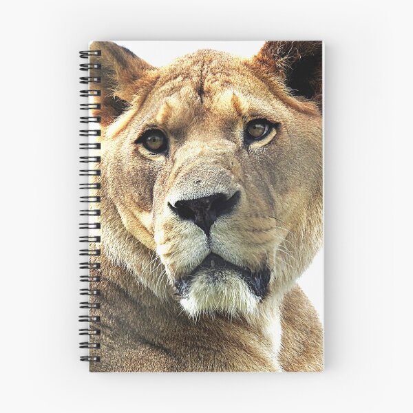 Item preview, Barbary Lion designed and sold by Barnbk02.