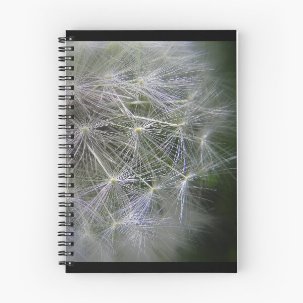 Item preview, Dandelion clock designed and sold by irenicrhonda.