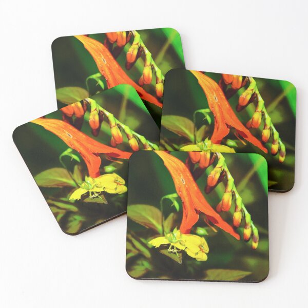 Item preview, Looking - A View  designed and sold by Carl Gaynor.