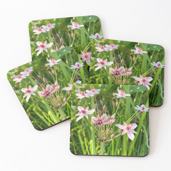 Item preview, Whimsical designed and sold by Alike44.