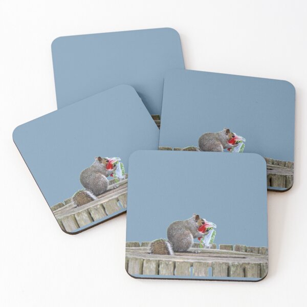 Item preview, Squirrel Eating from a Food Wrapper designed and sold by Sonya Umble.