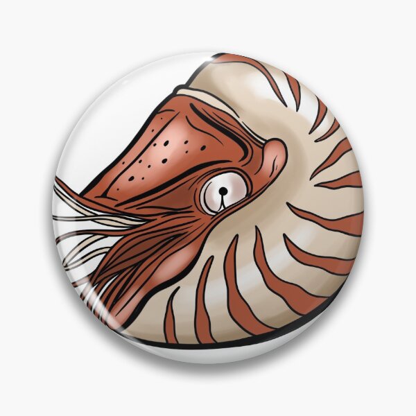 Artikelvorschau, Nautilus entworfen und verkauft von PurpleTurtle8.
