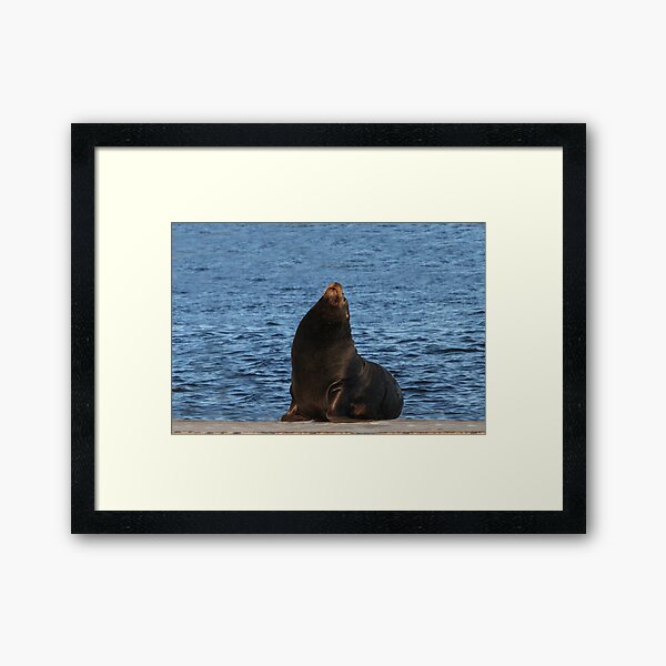 Item preview, Getting a Tan! designed and sold by heatherfriedman.