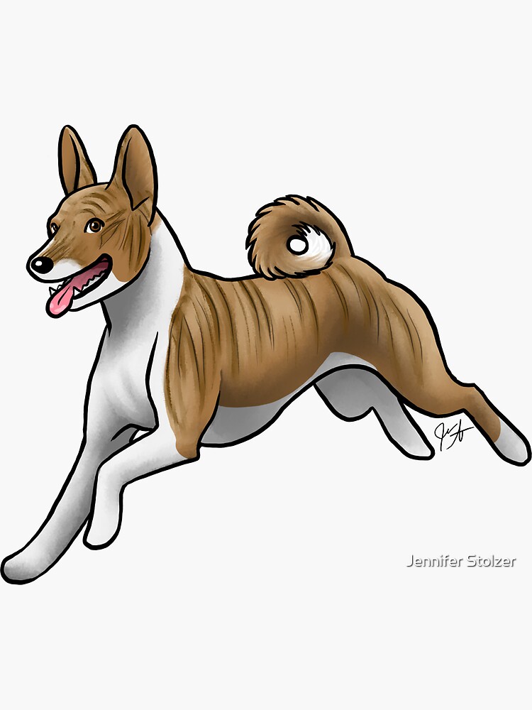 Basenji - Brindle by jameson9101322