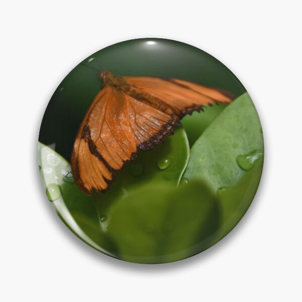 Item preview, Julia Butterfly resting on an Umbrella plant... designed and sold by Poete100.