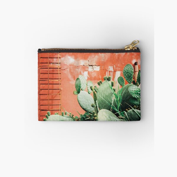 Aperçu de l'œuvre Gros plan sur les cactus qui poussent devant le mur rouge minable tourné sur Porta 400 créée et vendue par visualspectrum.