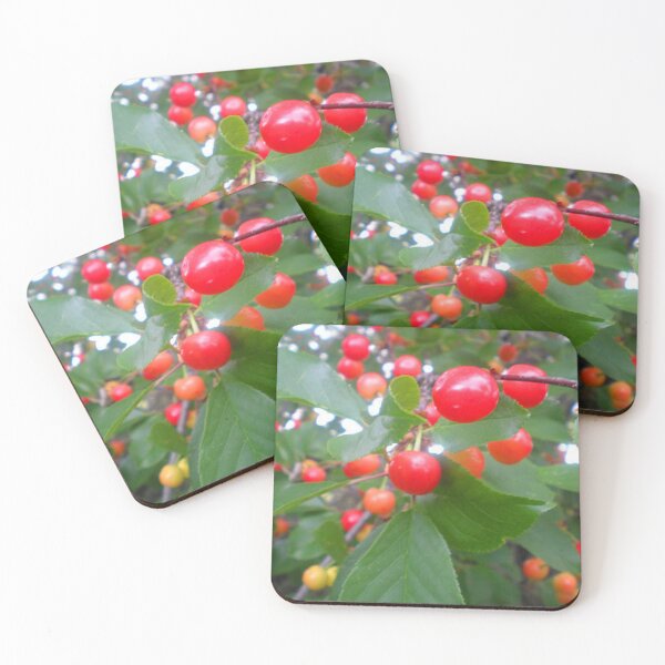 Item preview, Cherries in Taos, New Mexico designed and sold by KR Art Studio.