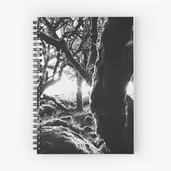 Artikelvorschau, Schwarz-Weiß-Aufnahme des alten Whistman Wood bei Sonnenaufgang (Dartmoor NP, England) entworfen und verkauft von visualspectrum.