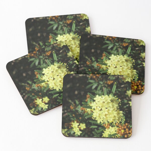 Item preview, Yellow pheballium designed and sold by greentiger1.