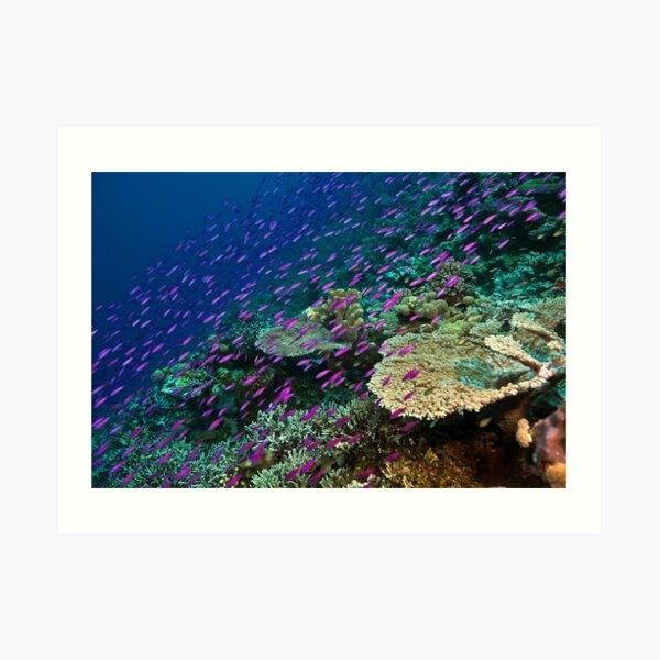 Purple rain Art Print