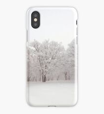Snow scene Japan iPhone Case/Skin