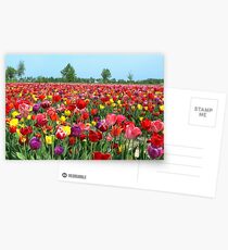 Color me a rainbow Postcards