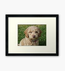 Winnie Framed Print