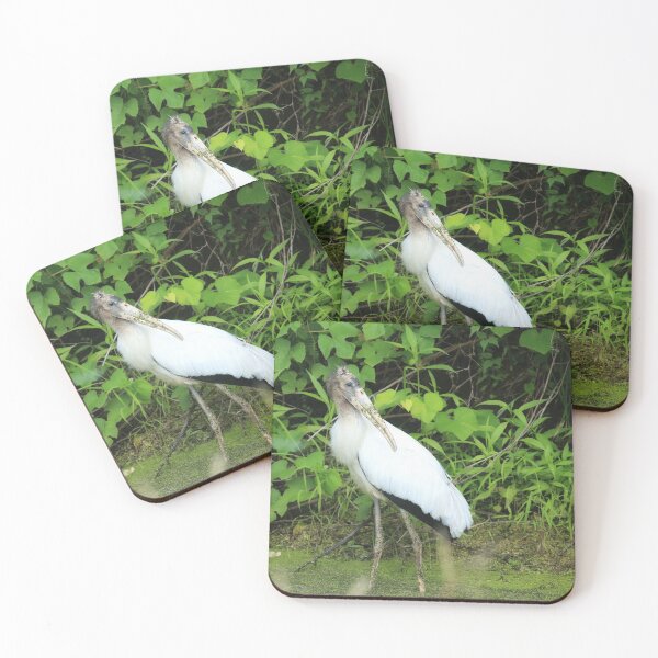 Item preview, The Wood Stork came North  designed and sold by Chris Coates Photography.com.