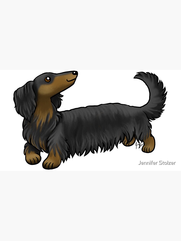 Long Haired Dachshund - Black and Tan by jameson9101322
